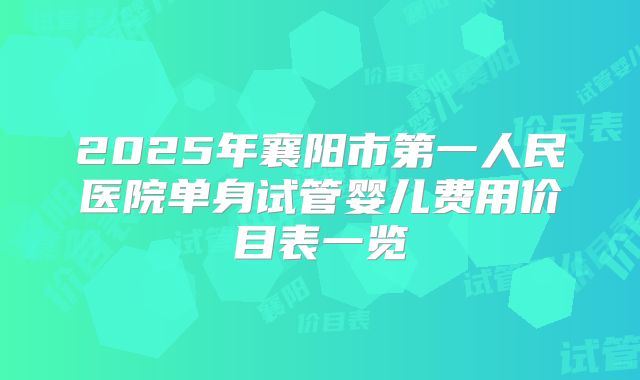 2025年襄阳市第一人民医院单身试管婴儿费用价目表一览