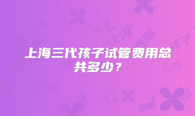 上海三代孩子试管费用总共多少？