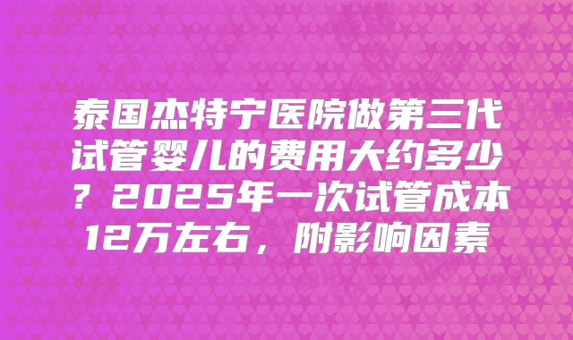泰国杰特宁医院做第三代试管婴儿的费用大约多少？2025年一次试管成本12万左右，附影响因素