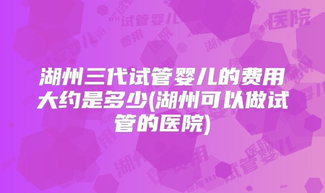湖州三代试管婴儿的费用大约是多少(湖州可以做试管的医院)