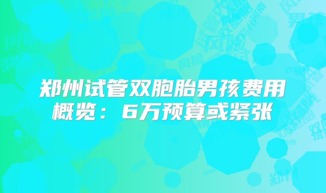 郑州试管双胞胎男孩费用概览:6万预算或紧张
