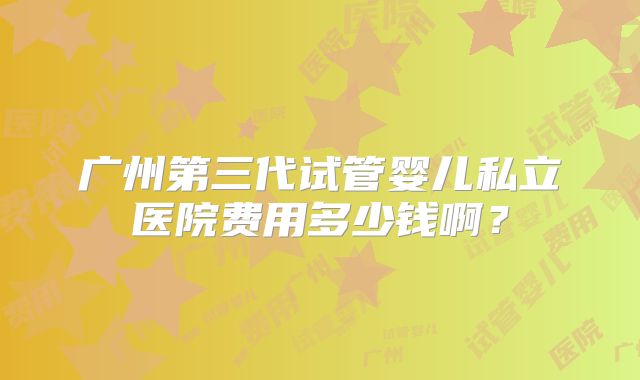 广州第三代试管婴儿私立医院费用多少钱啊？