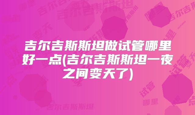 吉尔吉斯斯坦做试管哪里好一点(吉尔吉斯斯坦一夜之间变天了)
