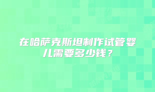在哈萨克斯坦制作试管婴儿需要多少钱？