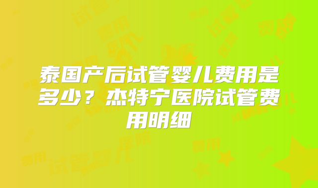泰国产后试管婴儿费用是多少？杰特宁医院试管费用明细
