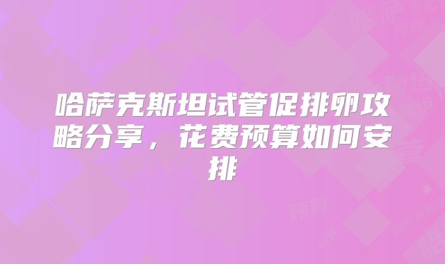 哈萨克斯坦试管促排卵攻略分享，花费预算如何安排