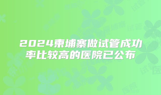 2024柬埔寨做试管成功率比较高的医院已公布