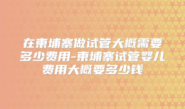 在柬埔寨做试管大概需要多少费用-柬埔寨试管婴儿费用大概要多少钱