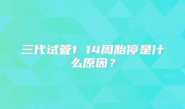 三代试管1 14周胎停是什么原因？