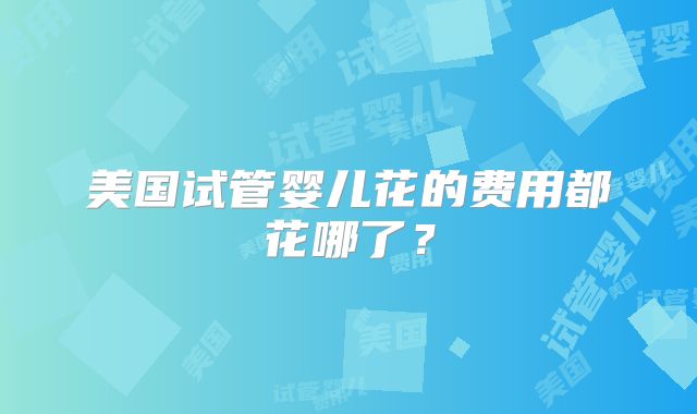 美国试管婴儿花的费用都花哪了？
