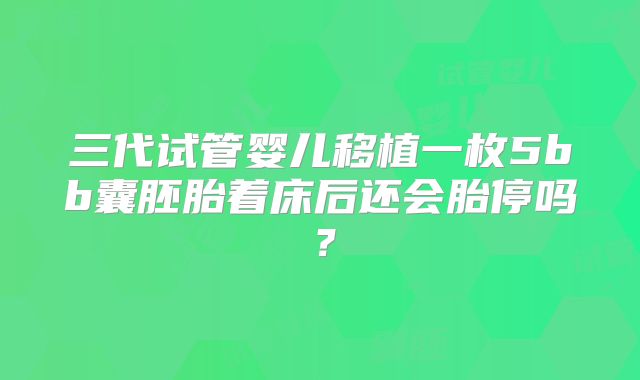 三代试管婴儿移植一枚5bb囊胚胎着床后还会胎停吗？
