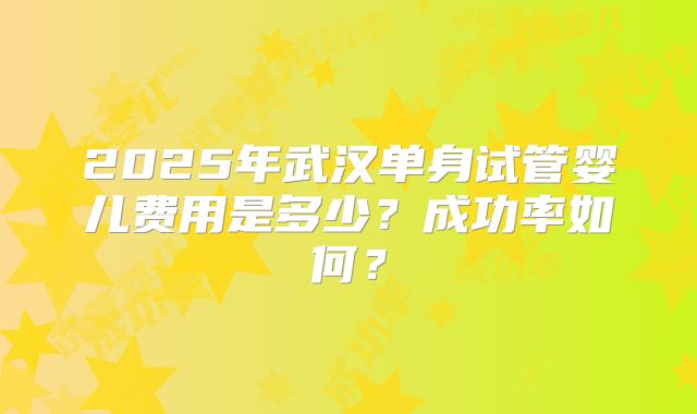2025年武汉单身试管婴儿费用是多少？成功率如何？