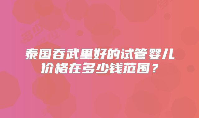 泰国吞武里好的试管婴儿价格在多少钱范围？