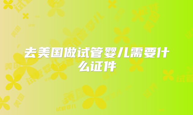 去美国做试管婴儿需要什么证件