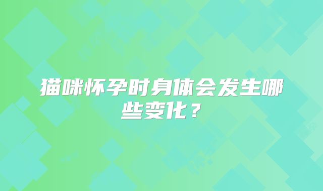 猫咪怀孕时身体会发生哪些变化?