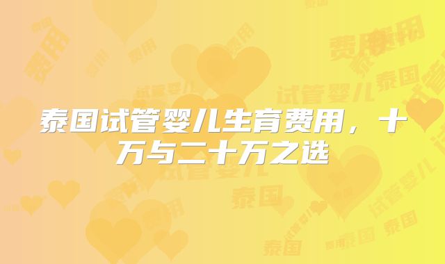 泰国试管婴儿生育费用，十万与二十万之选