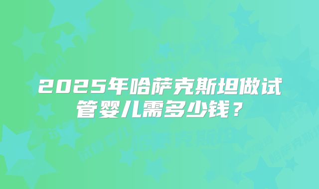 2025年哈萨克斯坦做试管婴儿需多少钱？