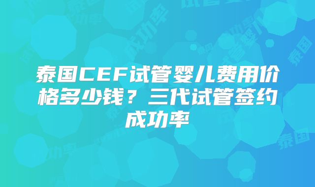 泰国CEF试管婴儿费用价格多少钱？三代试管签约成功率