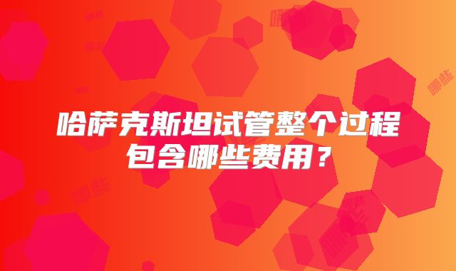 哈萨克斯坦试管整个过程包含哪些费用？