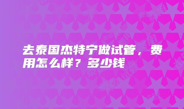 去泰国杰特宁做试管，费用怎么样？多少钱      