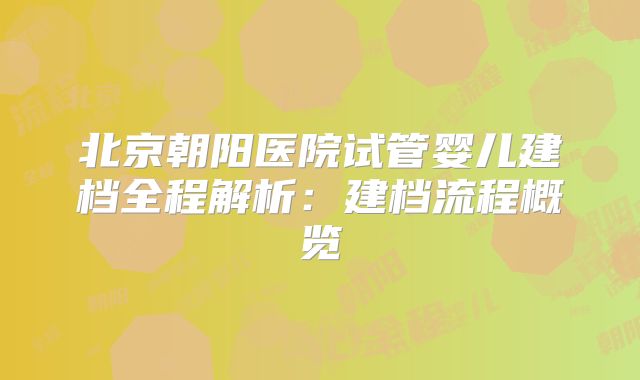 北京朝阳医院试管婴儿建档全程解析：建档流程概览
