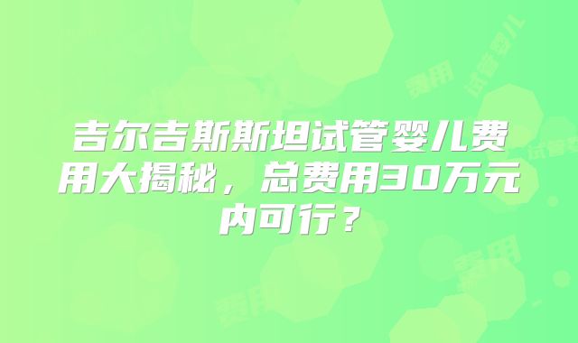 吉尔吉斯斯坦试管婴儿费用大揭秘，总费用30万元内可行？