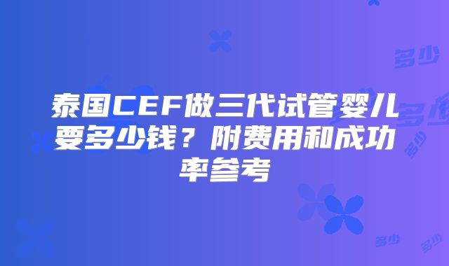 泰国CEF做三代试管婴儿要多少钱？附费用和成功率参考