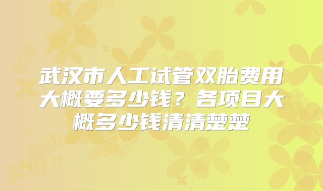 武汉市人工试管双胎费用大概要多少钱？各项目大概多少钱清清楚楚
