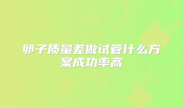 卵子质量差做试管什么方案成功率高