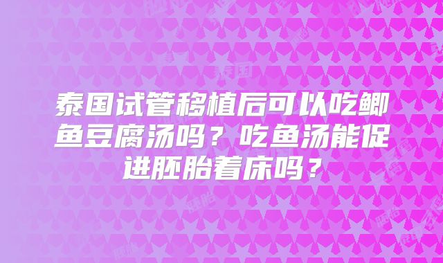 泰国试管移植后可以吃鲫鱼豆腐汤吗？吃鱼汤能促进胚胎着床吗？