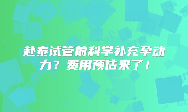 赴泰试管前科学补充孕动力?费用预估来了!