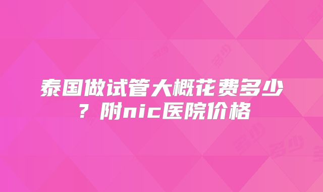 泰国做试管大概花费多少？附nic医院价格