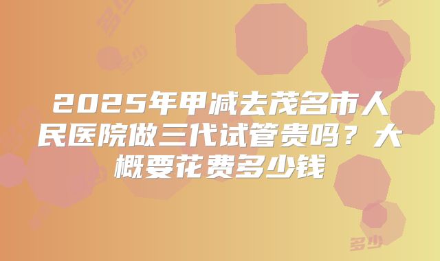 2025年甲减去茂名市人民医院做三代试管贵吗？大概要花费多少钱