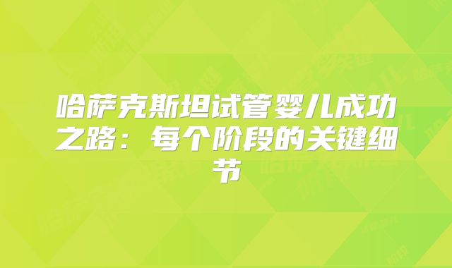 哈萨克斯坦试管婴儿成功之路：每个阶段的关键细节