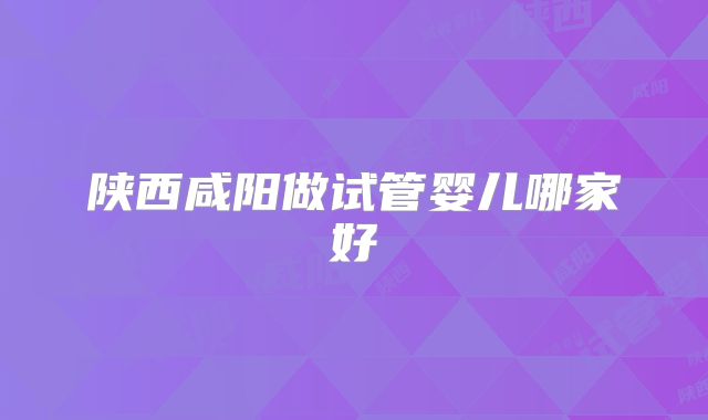 陕西咸阳做试管婴儿哪家好