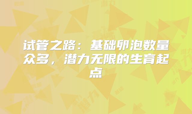 试管之路:基础卵泡数量众多,潜力无限的生育起点