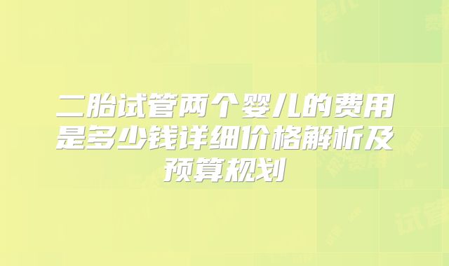 二胎试管两个婴儿的费用是多少钱详细价格解析及预算规划