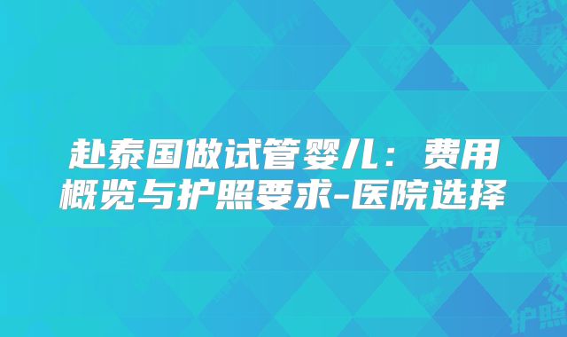 赴泰国做试管婴儿：费用概览与护照要求-医院选择