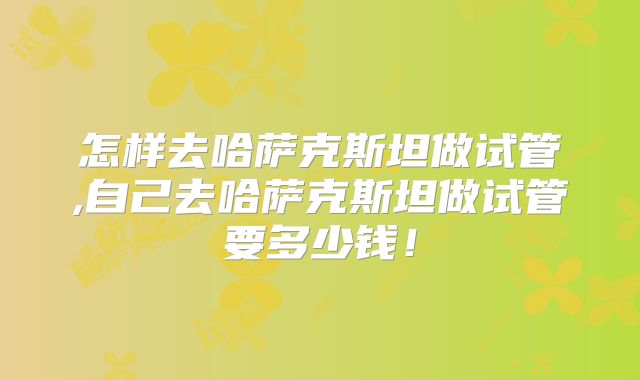怎样去哈萨克斯坦做试管,自己去哈萨克斯坦做试管要多少钱!