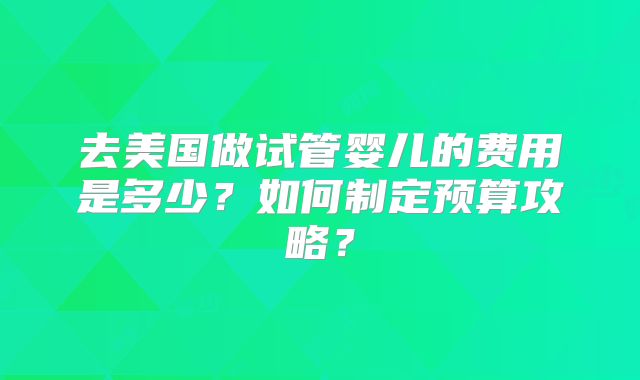 去美国做试管婴儿的费用是多少？如何制定预算攻略？