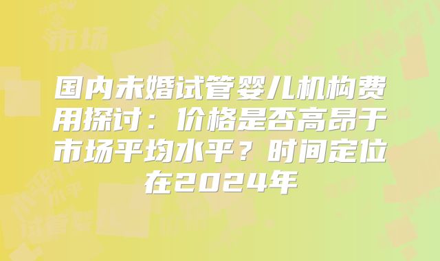 国内未婚试管婴儿机构费用探讨：价格是否高昂于市场平均水平？时间定位在2024年