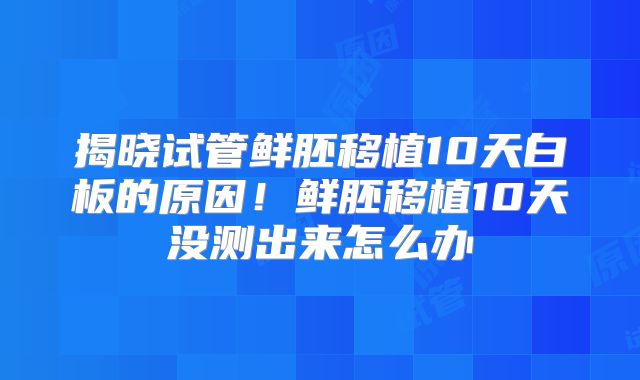 揭晓试管鲜胚移植10天白板的原因！鲜胚移植10天没测出来怎么办