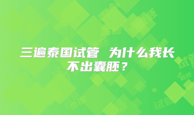 三遍泰国试管 为什么我长不出囊胚？