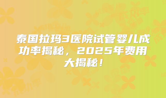 泰国拉玛3医院试管婴儿成功率揭秘，2025年费用大揭秘！