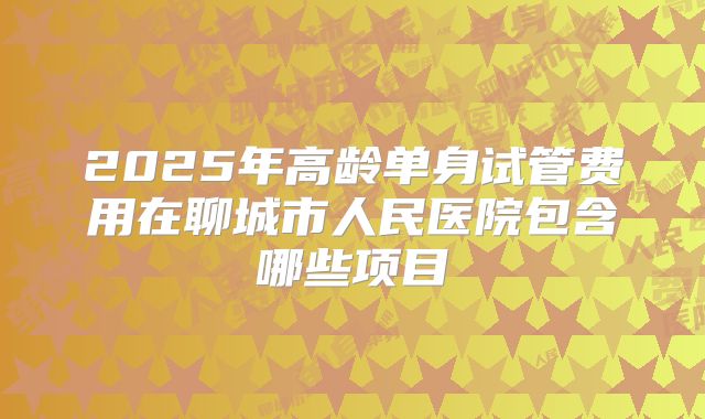 2025年高龄单身试管费用在聊城市人民医院包含哪些项目