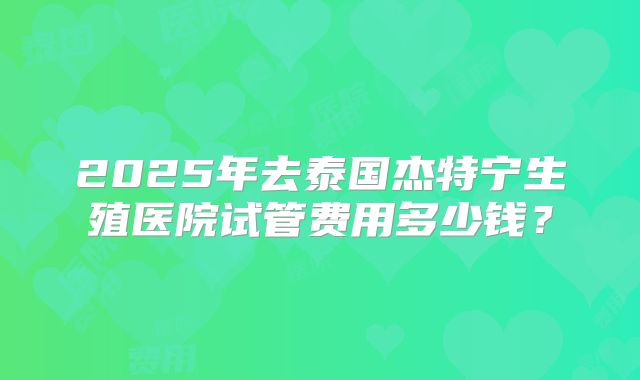 2025年去泰国杰特宁生殖医院试管费用多少钱？