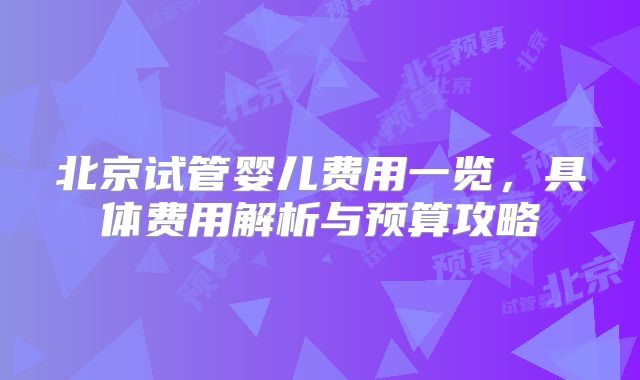 北京试管婴儿费用一览，具体费用解析与预算攻略