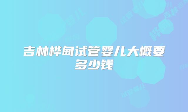 吉林桦甸试管婴儿大概要多少钱