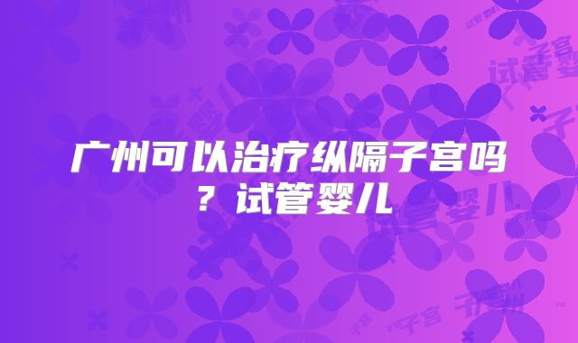 广州可以治疗纵隔子宫吗？试管婴儿
