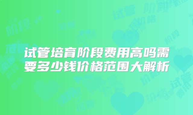 试管培育阶段费用高吗需要多少钱价格范围大解析